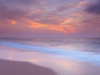 Evening view of beautiful beach in Israel Poster Print by  Assaf Frank - Item # VARPDXAF20140104047