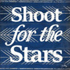 Shoot for the Stars Poster Print by  Elizabeth Medley - Item # VARPDX9734AB