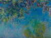 Wisteria Poster Print by Claude Monet - Item # VARPDX3CM1520
