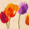 Tulips & Colors Poster Print by  Luca Villa - Item # VARPDX1LC3477