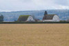 Dual Barns Poster Print by Dana Styber - Item # VARPDXPSSTY107