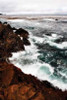 Sand Hill Cove I Poster Print by Alan Hausenflock - Item # VARPDXPSHSF587
