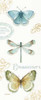 My Greenhouse Butterflies V Poster Print by Audit Lisa - Item # VARPDX22212