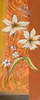 Fancy Floral I Poster Print by Patricia Pinto - Item # VARPDX7934
