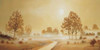 Misty landscape II Poster Print by  Frans Nauts - Item # VARPDXMLV179