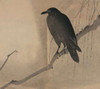 Crow on a willow branch 1875 Poster Print by Unknown - Item # VARPDX342672