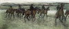 Race Horses Poster Print by  Edgar Degas - Item # VARPDX277336 Race Horses Poster Print by  Edgar Degas - Item # VARPDX277336