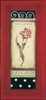 Belgian Tulip I Poster Print by Kimberly Poloson - Item # VARPDXPOL093