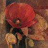 Poppy Reflection Poster Print by Albena Hristova - Item # VARPDX2685