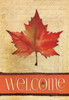 Maple in Fall II Poster Print by Stephanie Marrott - Item # VARPDXSM158070