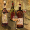 Bottle of Wine I Poster Print by Elizabeth Medley - Item # VARPDX9513