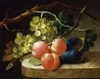 Grapes on a Vine Peaches and Plums on a Ledge Poster Print by Follwer of Antoni de Lust - Item # VARPDX282037