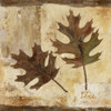 Fall II Poster Print by Patricia Pinto - Item # VARPDX6651