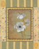 Anemones Poster Print by Pamela Smith - Item # VARPDXSMI035
