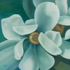 Twin Magnolia Poster Print by Vivien Rhyan - Item # VARPDX6500