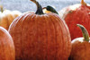 Fall Pumpkin Poster Print by Denise Romita