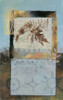 Nature Leaf II Poster Print by Connie Tunick - Item # VARPDXTCP101