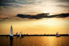 Sailing Home I Poster Print by Alan Hausenflock - Item # VARPDXPSHSF1204