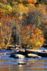Autumn on the River I0 Poster Print by Alan Hausenflock - Item # VARPDXPSHSF572