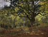Bodmer Oak Fontainebleau Forest 1865 Poster Print by  Claude Monet - Item # VARPDX278642