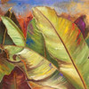 Through the Leaves Square I Poster Print by Patricia Pinto - Item # VARPDX8860A