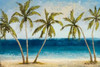 Atlantic Daydream I Poster Print by Michael Marcon - Item # VARPDX8705A