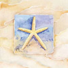 Starfish Poster Print by Paul Brent
