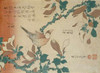 A Paddy Bird Perched On a Flowering Magnolia Branch Poster Print by Hokusai - Item # VARPDX265017