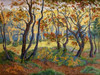 The Clearing Poster Print by Paul Ranson - Item # VARPDX3AA1054