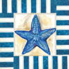 Nautical Starfish Poster Print by Margaret Ferry - Item # VARPDXMFY133