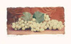 Grape Harvest II Poster Print by Amy Melious - Item # VARPDXMEL205