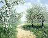 Spring Poster Print by Peter Motz