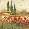 Poppy Field II Poster Print by Gregory Gorham - Item # VARPDXGOR440