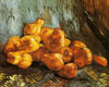Pears Poster Print by  Vincent Van Gogh - Item # VARPDX374528