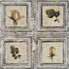 Flowers and Leaves I Poster Print by Patricia Pinto - Item # VARPDX6468