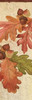 Autumn Collage IV Poster Print by Stephanie Marrott - Item # VARPDXSM158067