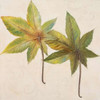 Simple and Beauty II Poster Print by Patricia Pinto - Item # VARPDX8433