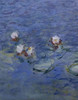 http://c328301.r1.cf1.rackcdn.com/PDX278728LARGE.jpg