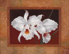 White Orchids Poster Print by Vivien Rhyan - Item # VARPDX6358