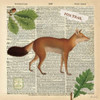 Lodge Collage IV Poster Print by  Katie Pertiet - Item # VARPDX24136