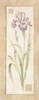 Iris Poster Print by Pamela Gladding - Item # VARPDXGLA183