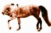 http://c328301.r1.cf1.rackcdn.com/PDXKHA1049LARGE.jpg