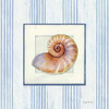 Sanibel Shell III Poster Print by Avery Tillmon - Item # VARPDX8914