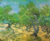 Olive Grove Poster Print by  Vincent Van Gogh - Item # VARPDX374521