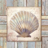 Beach Shell I Poster Print by Elizabeth Medley - Item # VARPDX9339
