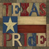Texas Printer Block II Poster Print by Tara Reed - Item # VARPDXRB8788TR