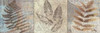 Leaves and Rosettes II Poster Print by Elizabeth Medley - Item # VARPDX8971D