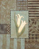 Aqua Calla Lily Poster Print by Stephanie Marrott - Item # VARPDXSM211