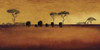 Serengeti II Poster Print by Tandi Venter - Item # VARPDX8797