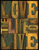 Printers Block Sentiments II Poster Print by Tara Reed - Item # VARPDXRB7765TR